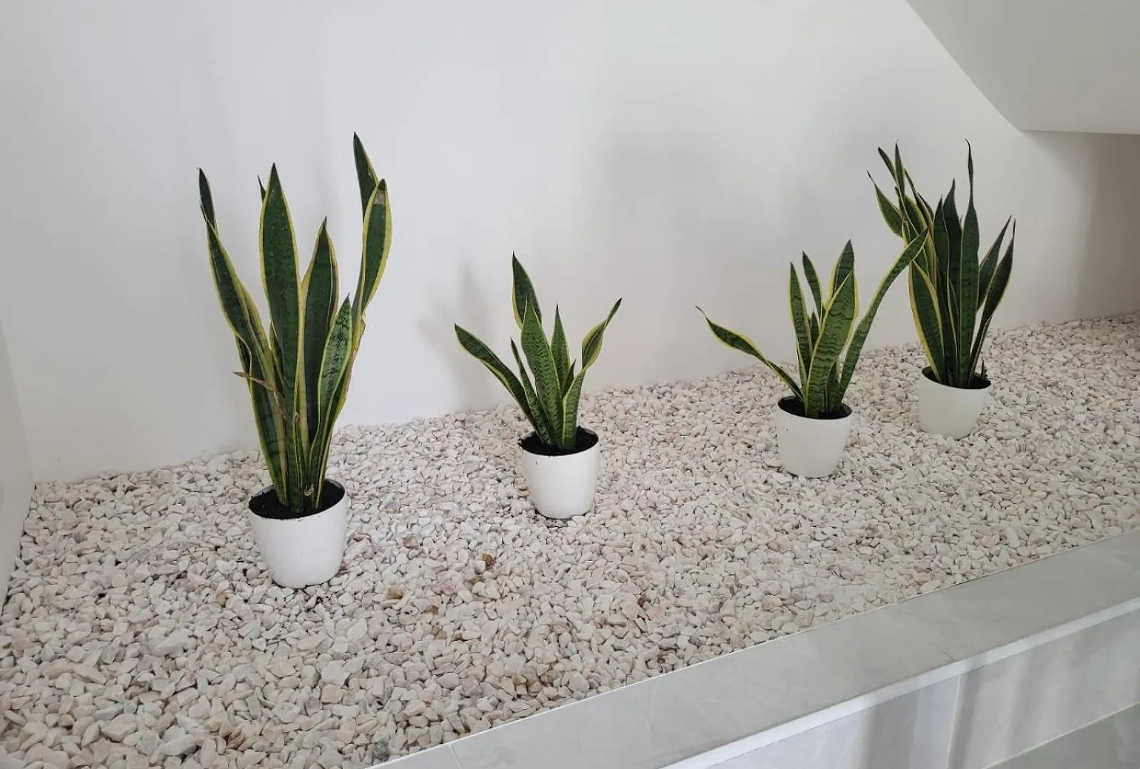 HostelccPortimão